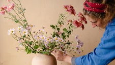 Daisy faces in a pink vase