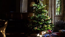 Christmas tree decoration