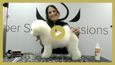 Bichon Frisé - Pet Trim