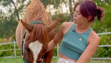 Comportement et communication du cheval