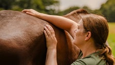 Chloé Poitevin, praticienne en shiatsu équin