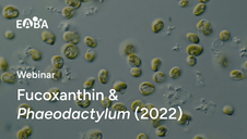 Fucoxanthin & Phaeodactylum (2022)