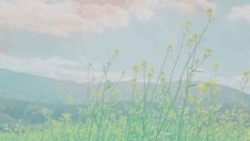 a flower field blowing in the wind.