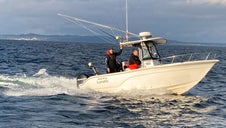 Havfiskeri i Danmark