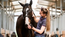 Vivre avec un cheval réformé