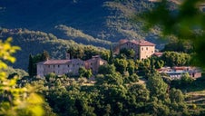 A Jewel on the Hillside