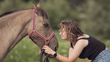Accompagner son cheval senior