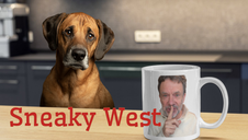 Best Content