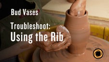 Troubleshoot: Using the Rib