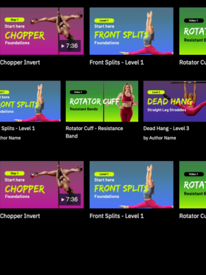 Pole Rage® workout menu showing a variety of off-the-pole training videos tailored to pole goals.