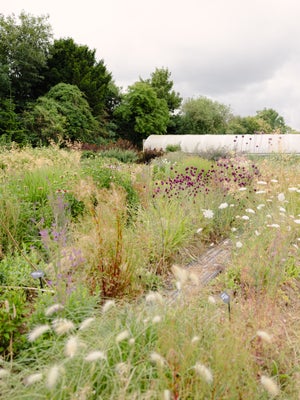 texture garden