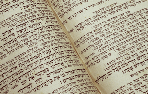 Tanach & Midrashim