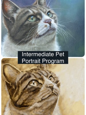 Best Content