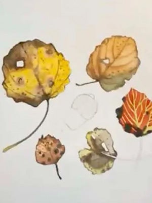 Painting textures and colour variation in leaves