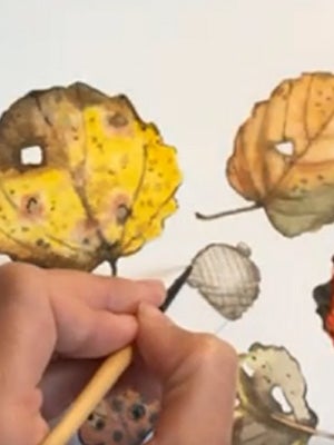 Using wet-on-wet and dry brush techniques