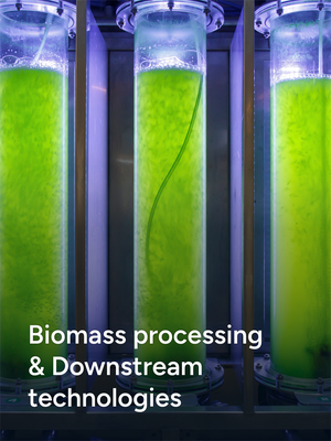 Biomass Processing & Downstream Technologies