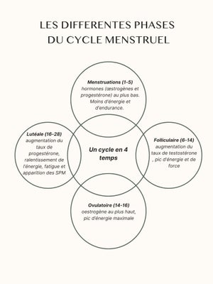 cycle menstruel
