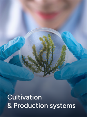 Cultivation & Production systems