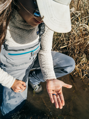 Entomology Trout Bugs Fly Fishing Trout Unlimited Fish Camp