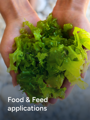 Food & Feed Applications