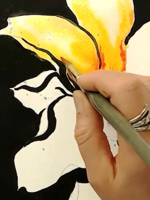 Balancing texture, opacity, and transparency