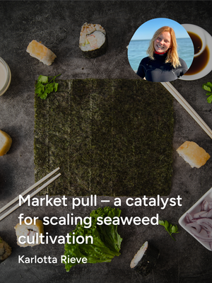 Market pull – a catalyst for scaling seaweed cultivation