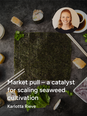 Market pull – a catalyst for scaling seaweed cultivation