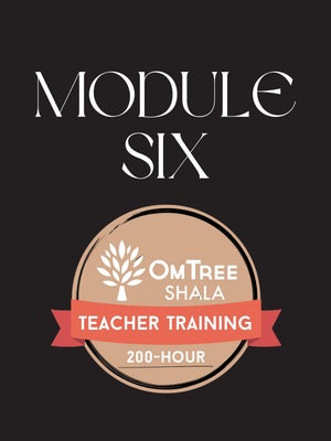 Module 6
