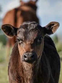 Innovacion y herramientas