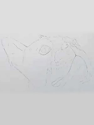 Sketching from a photo with confidence