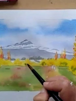 Simplifying landscapes for stronger composition