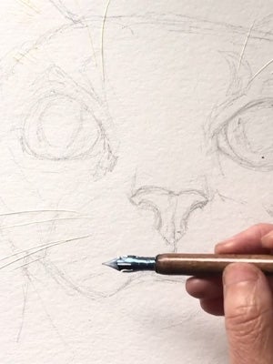 Sketching and laying down a light watercolour base