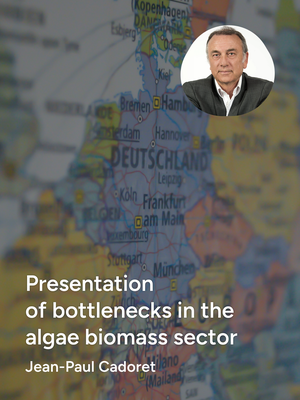 Presentation of bottlenecks in the algae biomass sector