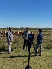 Recorridas Virtuales