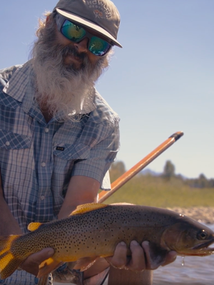 Dry Fly Fishing Fish Camp