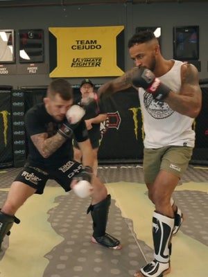 MMA fighters spar in a cage 