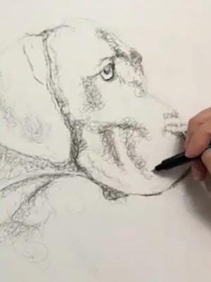 Creating a tonal value map to guide your drawing