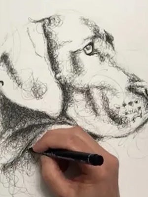 Building form with scribbled line layers