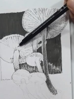 Developing a creative habit through stillness