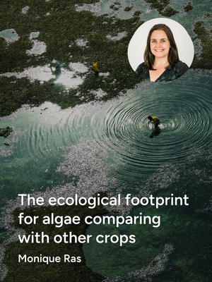 The ecological footprint for algae comparing with other crops