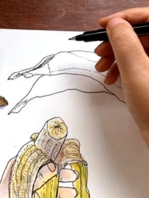 Observing with curiosity—there’s no one way to draw reality