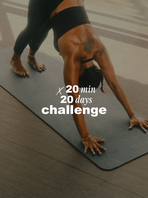 20-20 Challenge