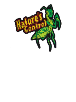 Best Content