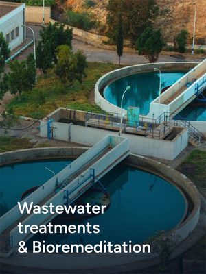Wastewater Treatment & Bioremediation