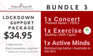 price option <p>BUNDLE <span class="text-xl">3</span></p>