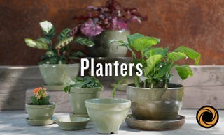 price option <div class="editor-content"><p style="text-align: center"><strong><span style="font-size: 1.125rem">Planters</span></strong></p></div>