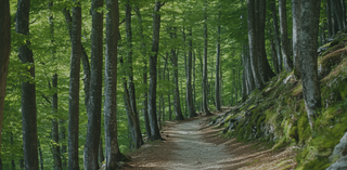 price option <div class="editor-content"><p>Monthly</p></div>