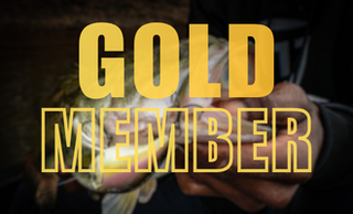 price option <div class="editor-content"><p>GOLD MEMBER</p></div>