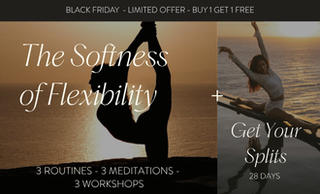 price option <div class="editor-content"><p>The Softness of Flexibility&nbsp;</p></div>