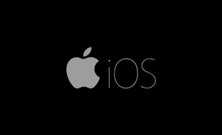 price option <div class="editor-content"><p><span style="font-size: 1.125rem"><strong>iOS</strong></span></p></div>